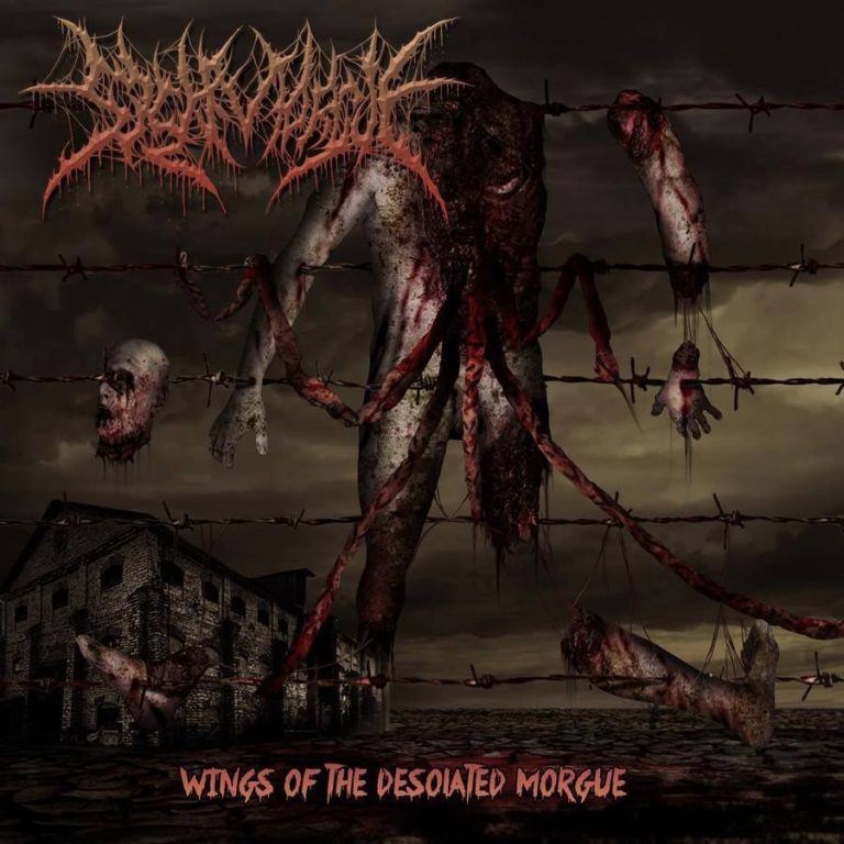 CD Releases