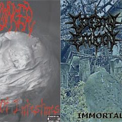 CD Releases