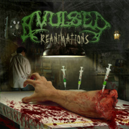 CD Releases