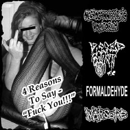 CD Releases