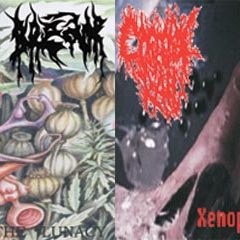 CD Releases