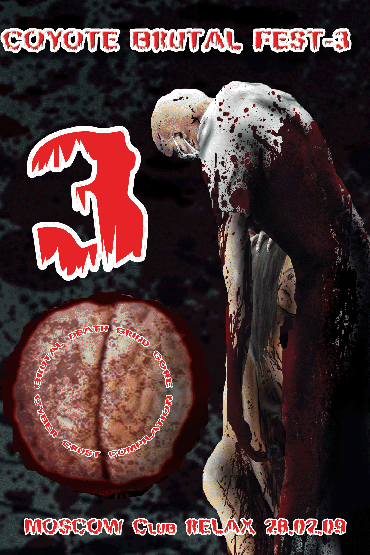 DVD Releases
