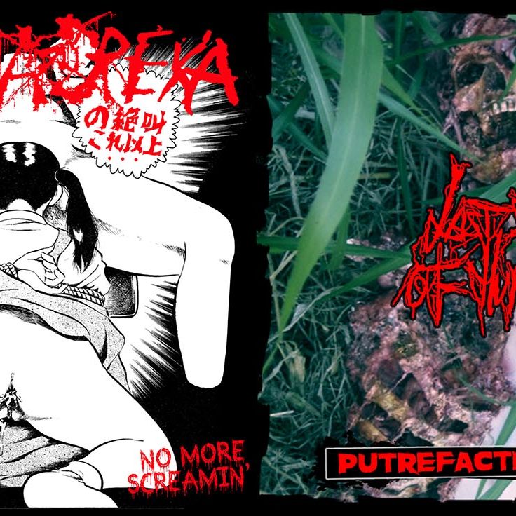 VINYL Releases