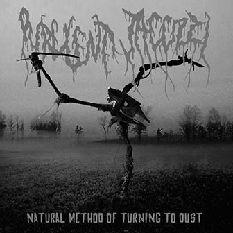 CD Releases