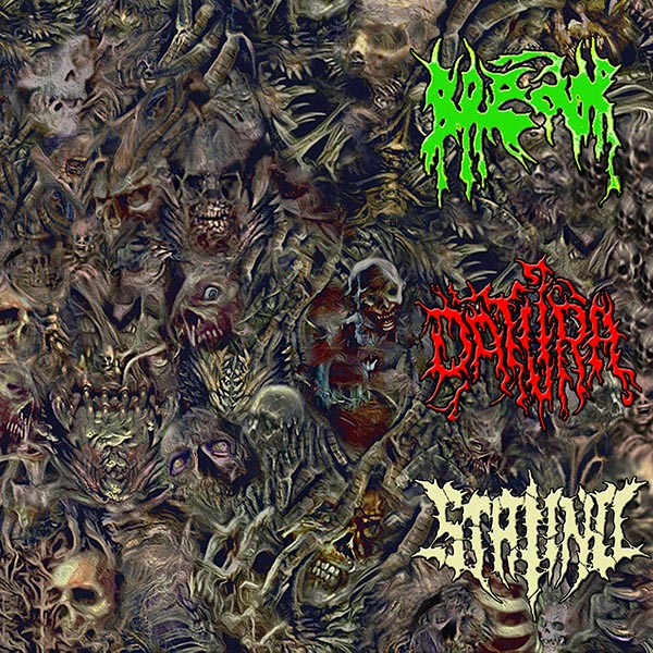 CD Releases