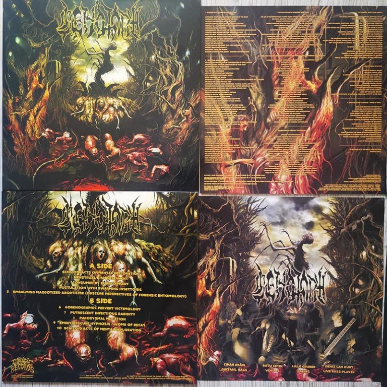 VINYL Releases