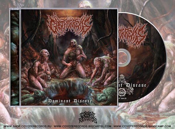 Gastrorrexis – Dominant Disease CD
